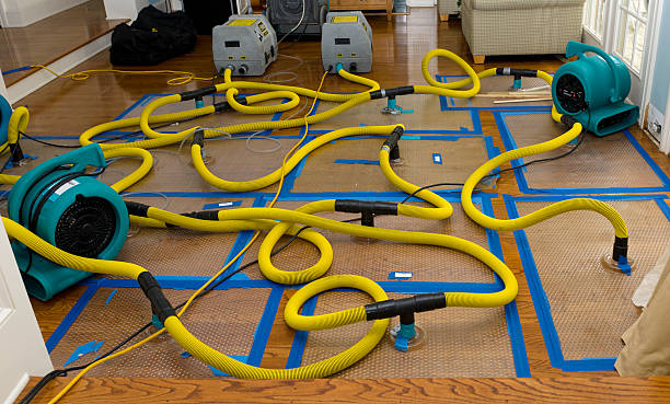 Professional Crawl Space Water Removal technician working in Oak Grove, MO